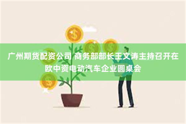 广州期货配资公司 商务部部长王文涛主持召开在欧中资电动汽车企业圆桌会