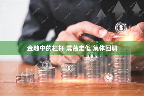 金融中的杠杆 震荡走低 集体回调