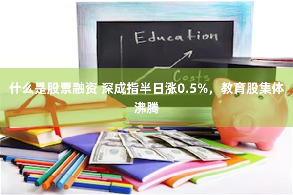 什么是股票融资 深成指半日涨0.5%，教育股集体沸腾