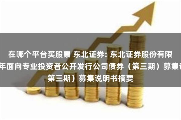 在哪个平台买股票 东北证券: 东北证券股份有限公司2024年面向专业投资者公开发行公司债券（第三期）募集说明书摘要