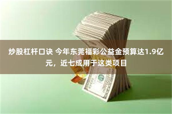 炒股杠杆口诀 今年东莞福彩公益金预算达1.9亿元，近七成用于这类项目