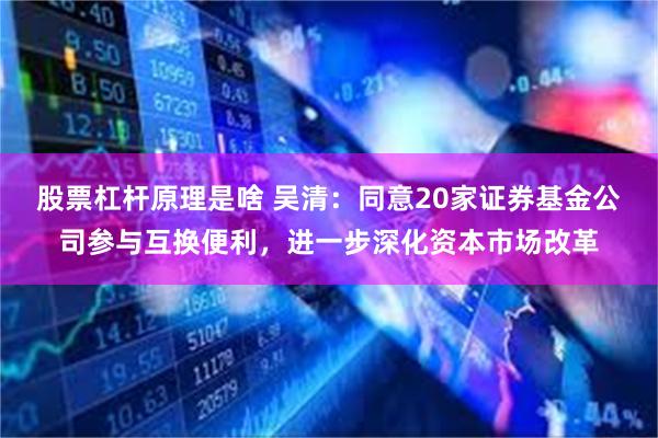 股票杠杆原理是啥 吴清：同意20家证券基金公司参与互换便利，进一步深化资本市场改革